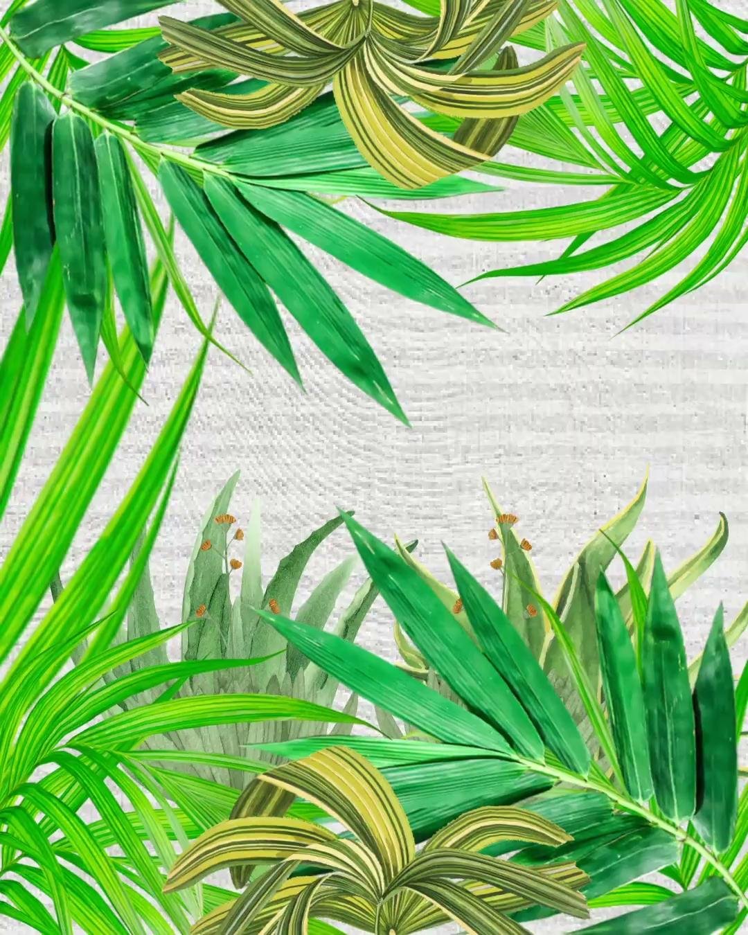 ORO — The Music's Up