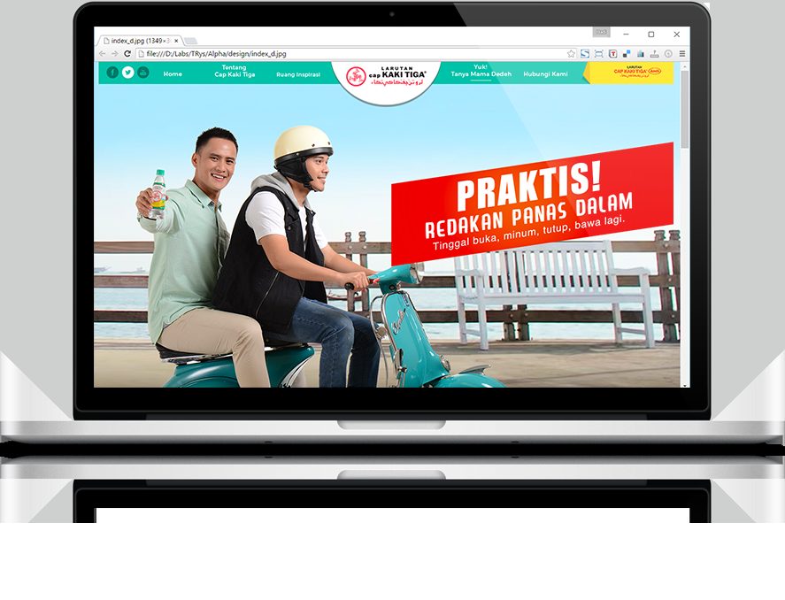 Praktis campaign section